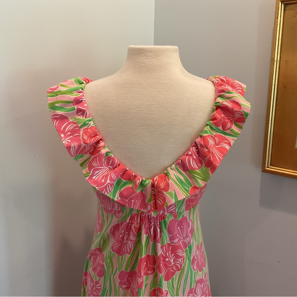 Lilly Pulitzer Samantha‎ Jersey Maxi Dress - Picture 5 of 7